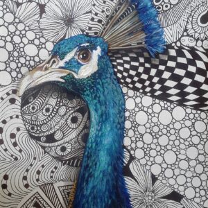 Peacock Portrait