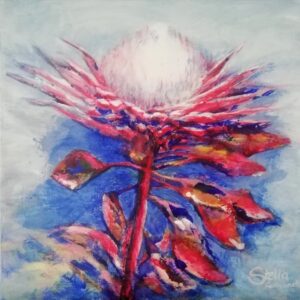 Flowers of the Western Cape - Protea cynaroides