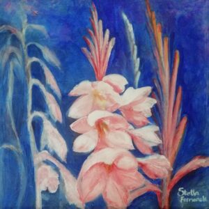 Flowers of the Western Cape - Watsonia tabulari