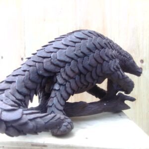 Pangolin