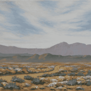 Open Fields of Wildflowers