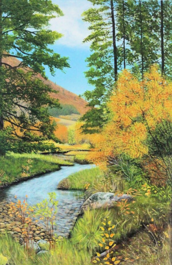 The Pebble Stream