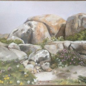 Langebaan Lookout In Spring