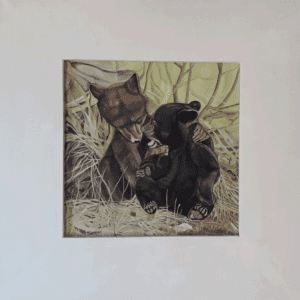 Bear Cub Friendship