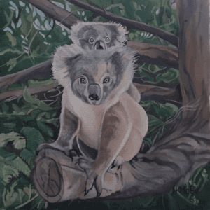 Koala Love