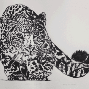 Big Five Stalking Leopard