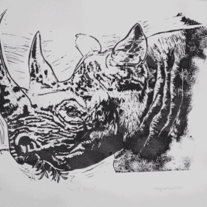 Big Five White Rhino