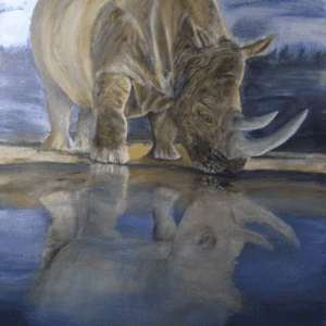 Rhino Reflection