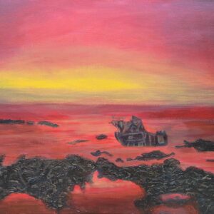 Shipwreck at Agulhas Southern Lights