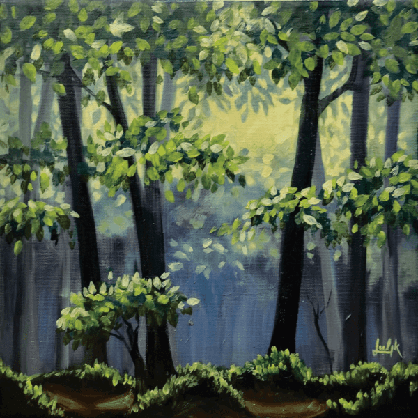 Sunlit Forest Clearing - Study