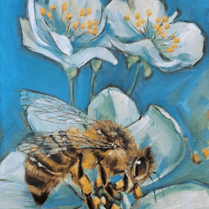 Cape Honeybee II