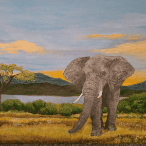 Elephant Wild & Free