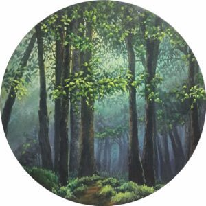 Sunlit Forest Clearing