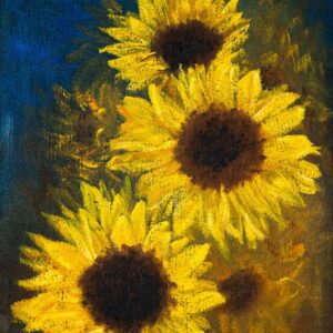 Sunshine on our Faces