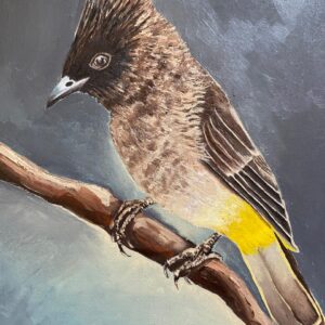Dark Capped Bulbul