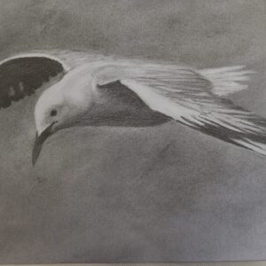 Searching for Breakfast