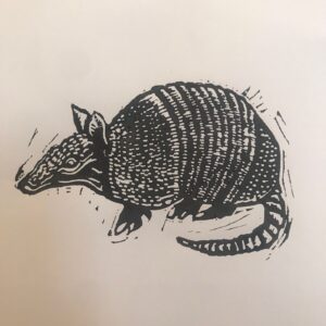 Armadillo