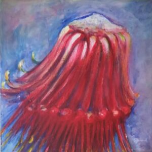 Flowers of the Western Cape ~ Leucospermum reflexum