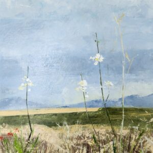 White Watsonias