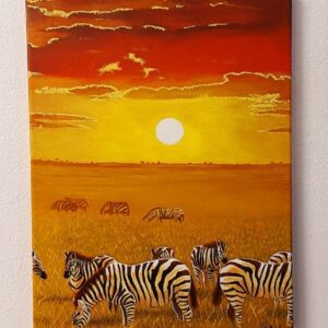Zebras in the field