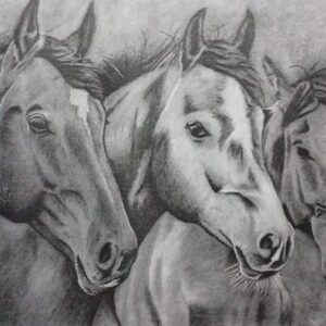 Horses