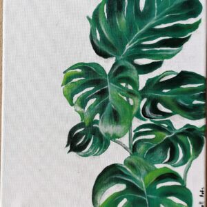 Monstera