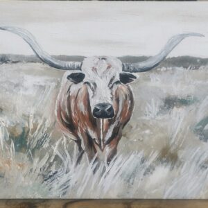 Nguni Long Horn