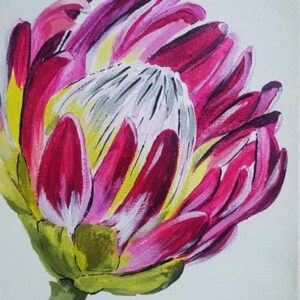 Protea