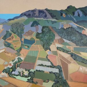 REUSE. RECYCLE. REWINE’D: Constantia