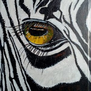 Zebra Eye