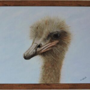 Ostrich 2