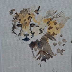 Cheetah 2