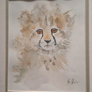 Cheetah cub 4