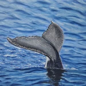 A Gentle Vanishing (Wale Fluke)