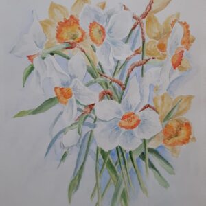 Daffodils