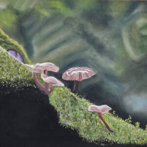 Forest Floor Whispers