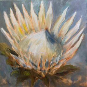King Protea 19
