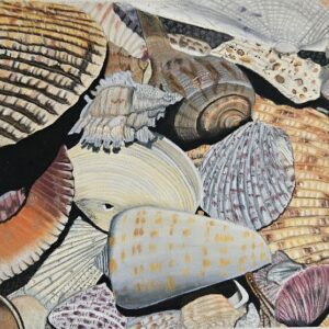 Treasures of the Tide