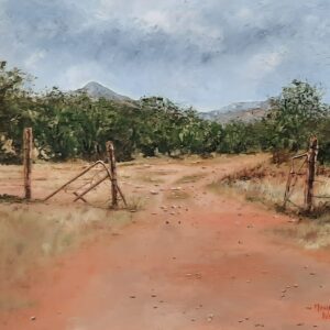 Tylden farm road Part 1 of Diptych