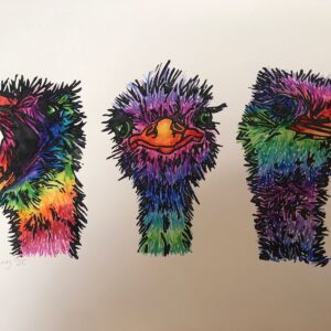 Colourful Cheeky Ostriches