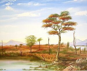 African Landscape