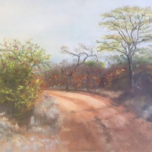 Bushveld Road