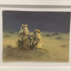 Meerkat Family