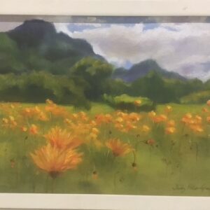 Kirstenbosch in Spring