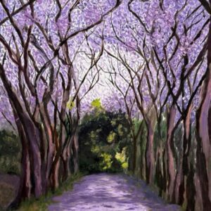 Jacaranda Avenue
