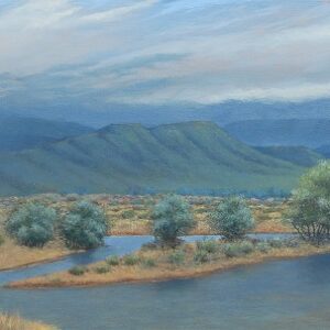 Storm Karoo Landscape