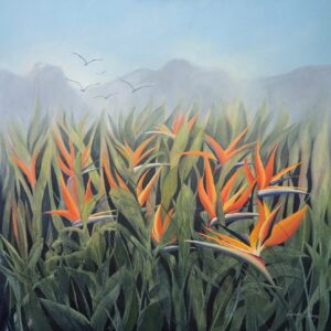 Strelitzia Spring Fields