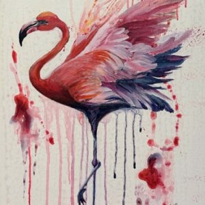 Flamingo