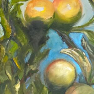 Apple Orchard