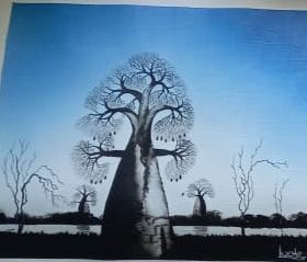 Baobab Tree in Spring